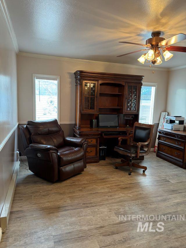 office area featuring ceiling fan, crown molding, a textured ceiling, and light wood-type flooring