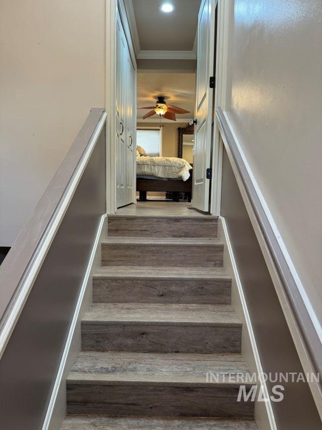 staircase featuring crown molding, ceiling fan, and hardwood / wood-style flooring