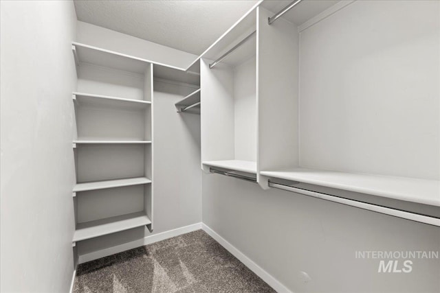 4084 E Blueberry St, Meridian, ID 83642 - walk in closet with dark colored carpet