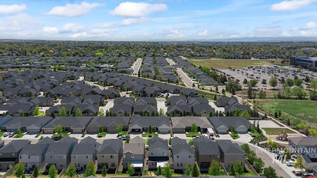 4084 E Blueberry St, Meridian, ID 83642 - aerial view of residential area
