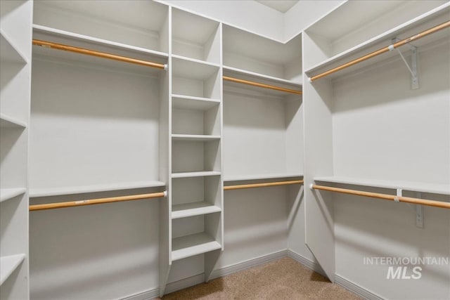 1280 W Bacall St, Meridian, ID 83646 - view of spacious closet