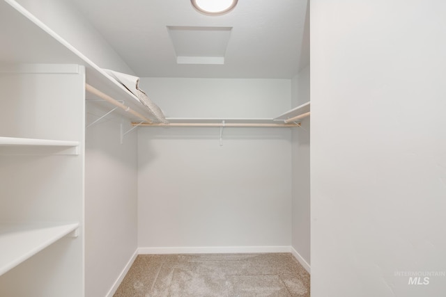 spacious closet featuring light colored carpet