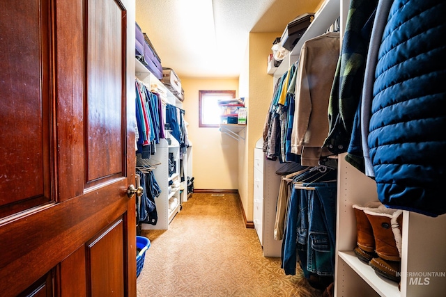 186 Ridgeview Dr, Grangeville, ID 83530 - spacious closet featuring light colored carpet