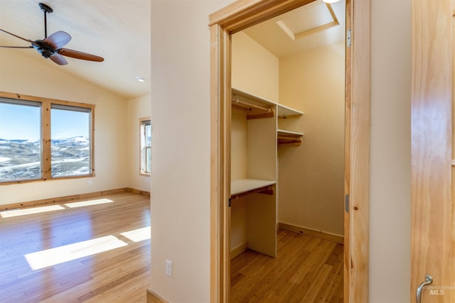 walk in closet with lofted ceiling, ceiling fan, attic access, and light wood-style floors