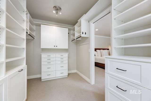 2417 E Brigantine Ct, Eagle, ID 83616 - walk in closet with light colored carpet