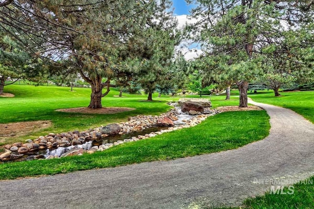 2417 E Brigantine Ct, Eagle, ID 83616 - view of home's community featuring a lawn
