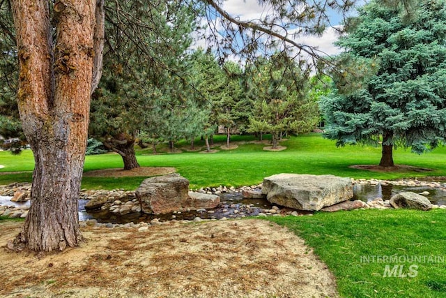 2417 E Brigantine Ct, Eagle, ID 83616 - view of green lawn