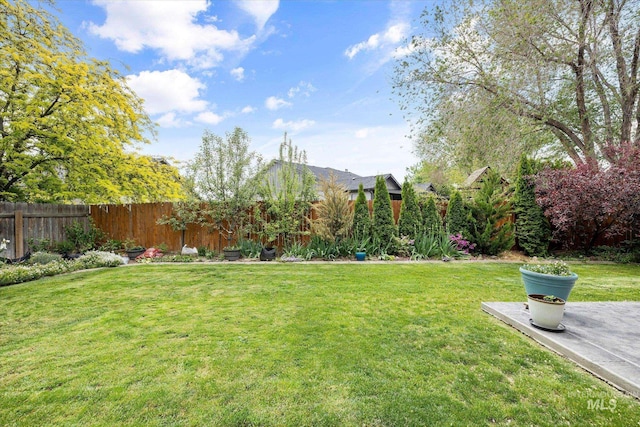 2023 E Wrightwood Dr, Meridian, ID 83642 - view of yard