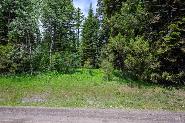 1705 W Mountain Rd, Donnelly, ID 83615