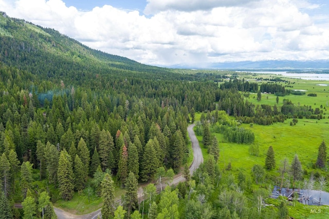 1705 W Mountain Rd, Donnelly, ID 83615