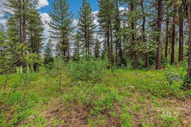 LOTS4 Whitetail Dr, Mccall, ID 83638