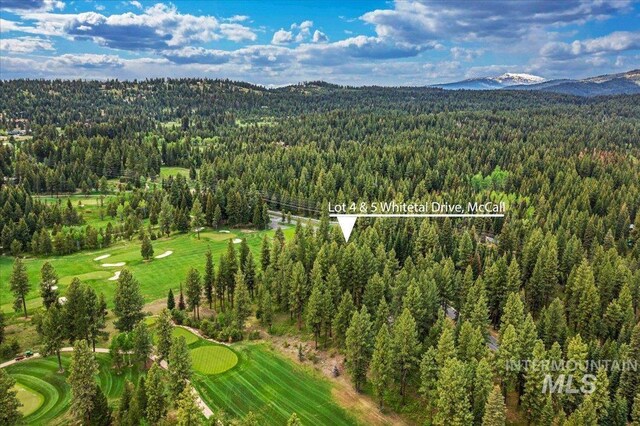 LOTS4 Whitetail Dr, Mccall, ID 83638
