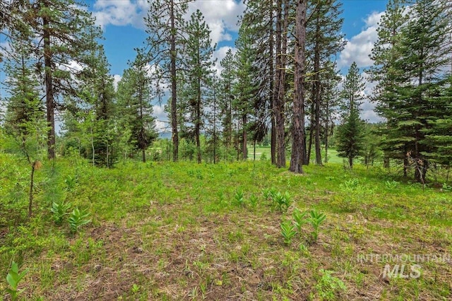 LOTS4 Whitetail Dr, Mccall, ID 83638