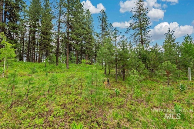 LOTS4 Whitetail Dr, Mccall, ID 83638