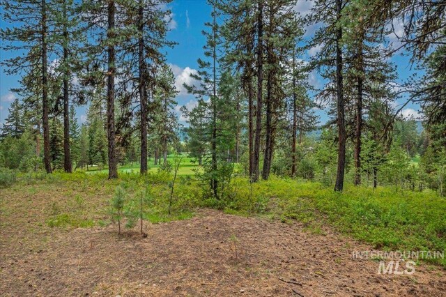 LOTS4 Whitetail Dr, Mccall, ID 83638