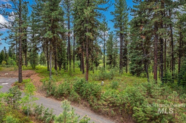 LOTS4 Whitetail Dr, Mccall, ID 83638