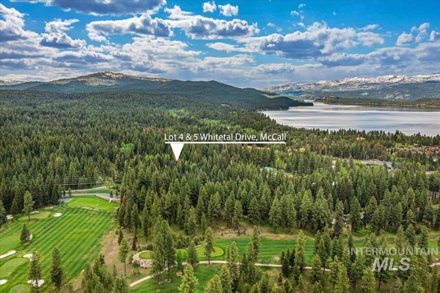 LOTS4 Whitetail Dr, Mccall, ID 83638