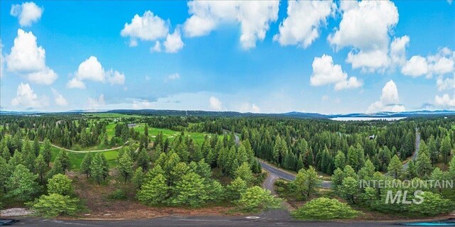 LOTS4 Whitetail Dr, Mccall, ID 83638