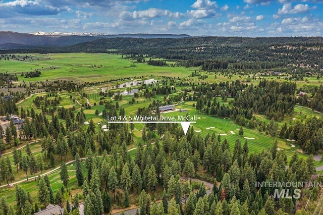 LOTS4 Whitetail Dr, Mccall, ID 83638