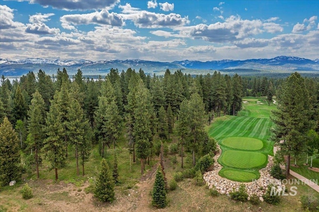LOTS4 Whitetail Dr, Mccall, ID 83638