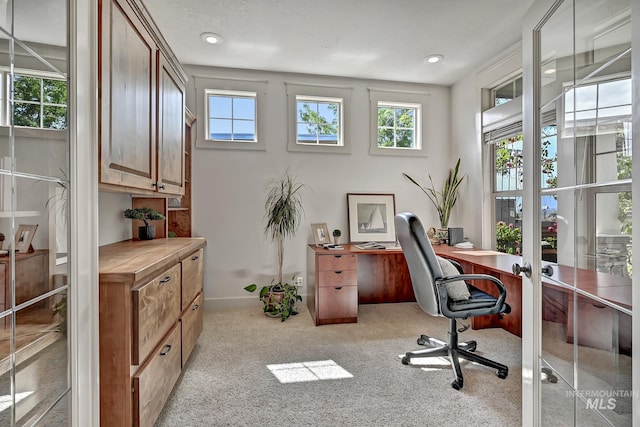 352 N Panorama Pl, Boise, ID 83702 - office space featuring light carpet and recessed lighting