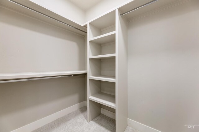 2330 E Monhegan Dr, Eagle, ID 83616 - walk in closet with carpet