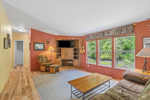 1745 Gibler Rd, Kamiah, ID 83536 - living area featuring light wood-type flooring