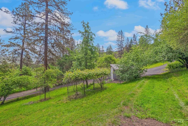1745 Gibler Rd, Kamiah, ID 83536 - view of grassy yard