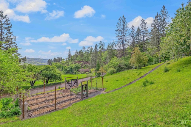 1745 Gibler Rd, Kamiah, ID 83536 - view of yard with a garden and a rural view