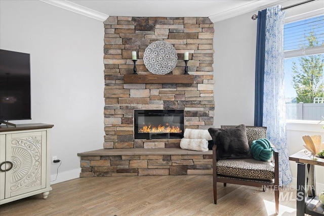 living room featuring a stone fireplace, ornamental molding, and wood finished floors