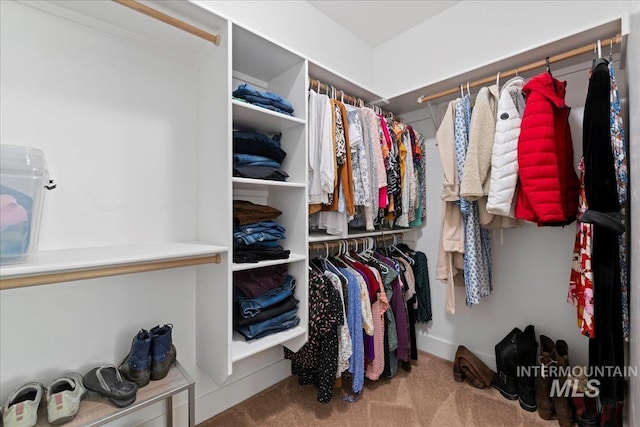 walk in closet with carpet