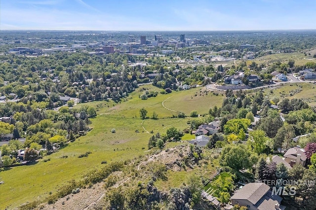 1803 E Danmor Dr, Boise, ID 83712 - drone / aerial view