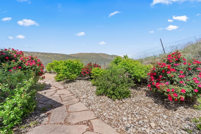 4997 N Brookside Ln, Boise, ID 83714 - view of yard with a mountain view