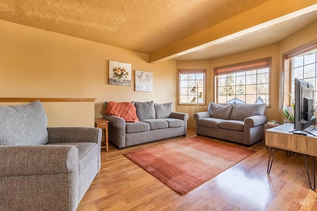 living room featuring wood finished floors