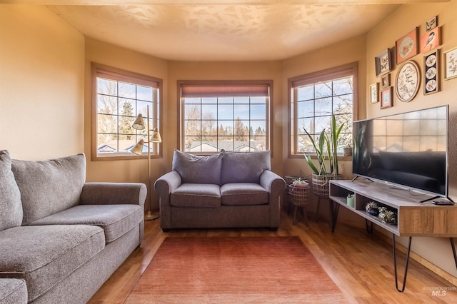 living area featuring wood finished floors