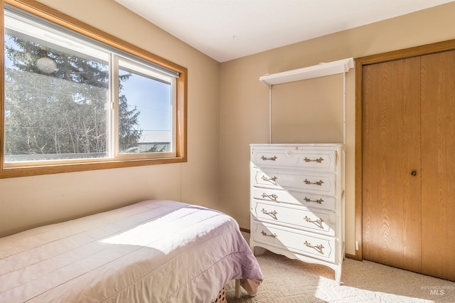 carpeted bedroom featuring a closet