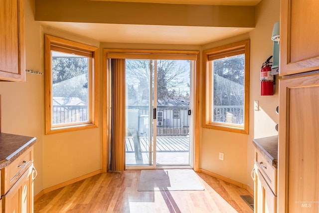 entryway featuring light wood-style floors, baseboards, and a wealth of natural light