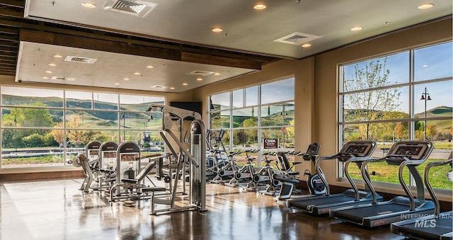 20447 N Glenisla, Boise, ID 83714 - workout area featuring a wealth of natural light and visible vents