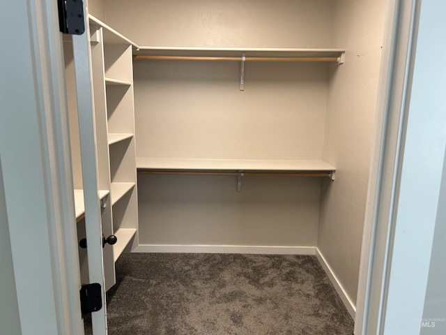 20447 N Glenisla, Boise, ID 83714 - spacious closet with dark colored carpet