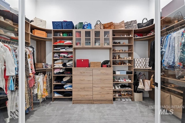 walk in closet with carpet