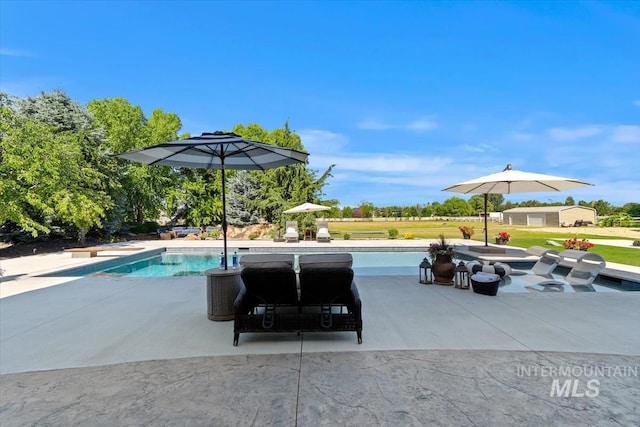 view of swimming pool with a patio