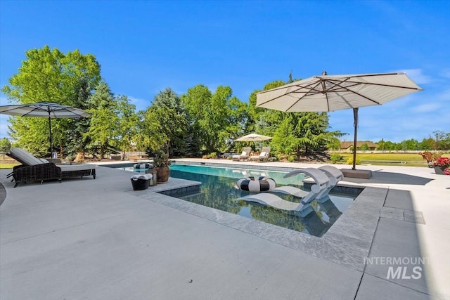 view of swimming pool with a patio area