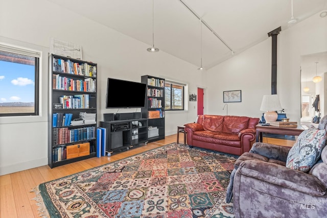 269 N 100 E, Fairfield, ID 83327 - living area featuring wood-type flooring, plenty of natural light, high vaulted ceiling, and baseboards