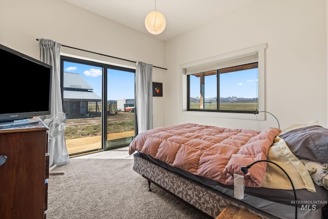269 N 100 E, Fairfield, ID 83327 - bedroom featuring access to outside and carpet floors
