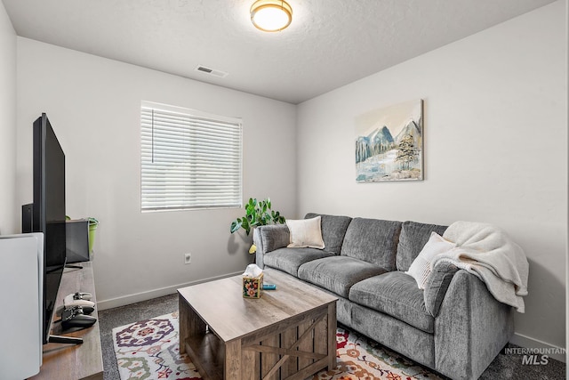 living room featuring a textured ceiling