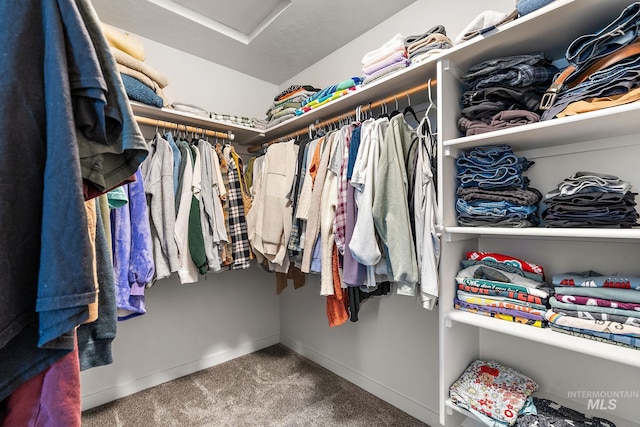 spacious closet featuring carpet