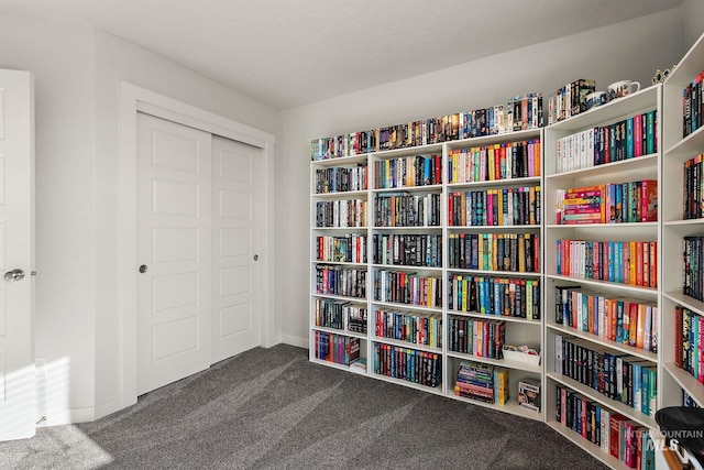 living area with dark carpet