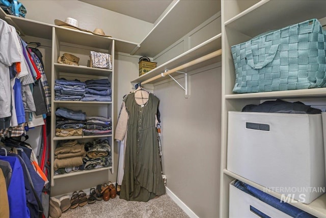 628 Pioneer Mountain Loop, Jerome, ID 83338 - walk in closet with carpet flooring
