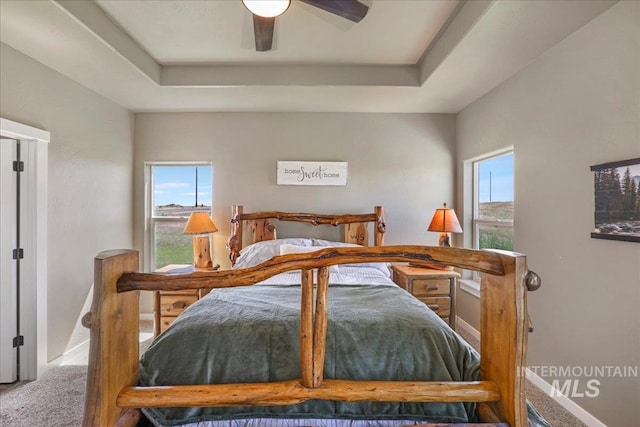 628 Pioneer Mountain Loop, Jerome, ID 83338 - bedroom with carpet flooring, a raised ceiling, and ceiling fan