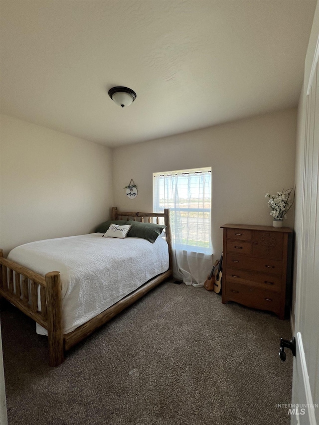 628 Pioneer Mountain Loop, Jerome, ID 83338 - view of carpeted bedroom